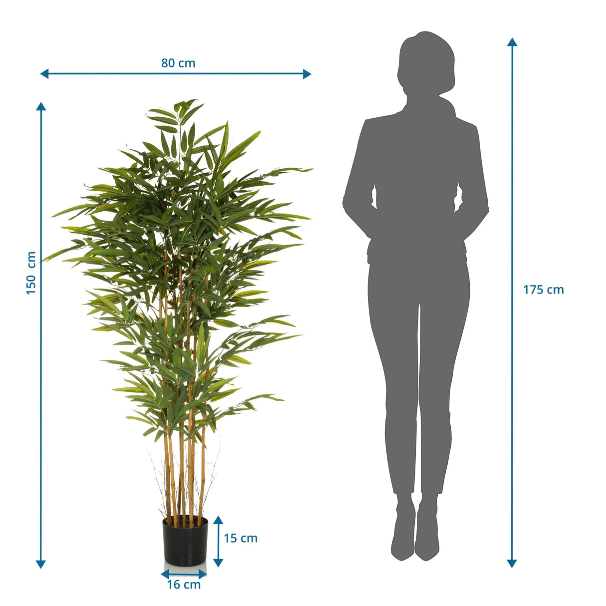 Maßzeichnung der Kunstpflanze BAMBUS II mit einer Höhe von 150 cm und Breite von 80 cm von hjh OFFICE