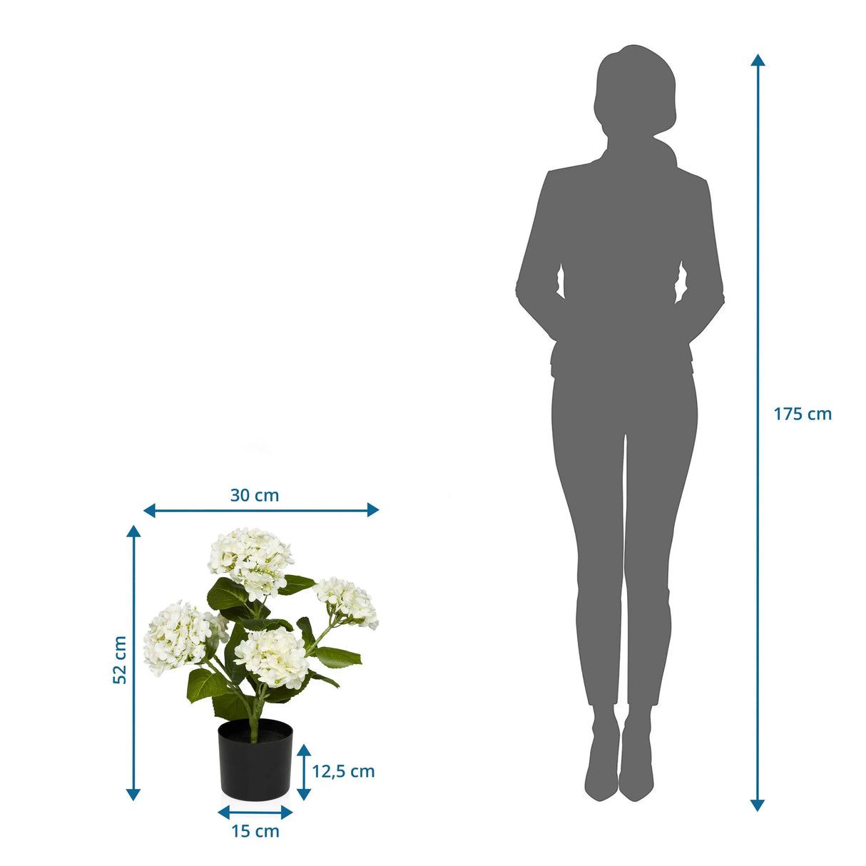 Maßzeichnung der Kunstpflanze HYDRANGEA mit einer Höhe von 52 cm und Breite von 30 cm von hjh OFFICE