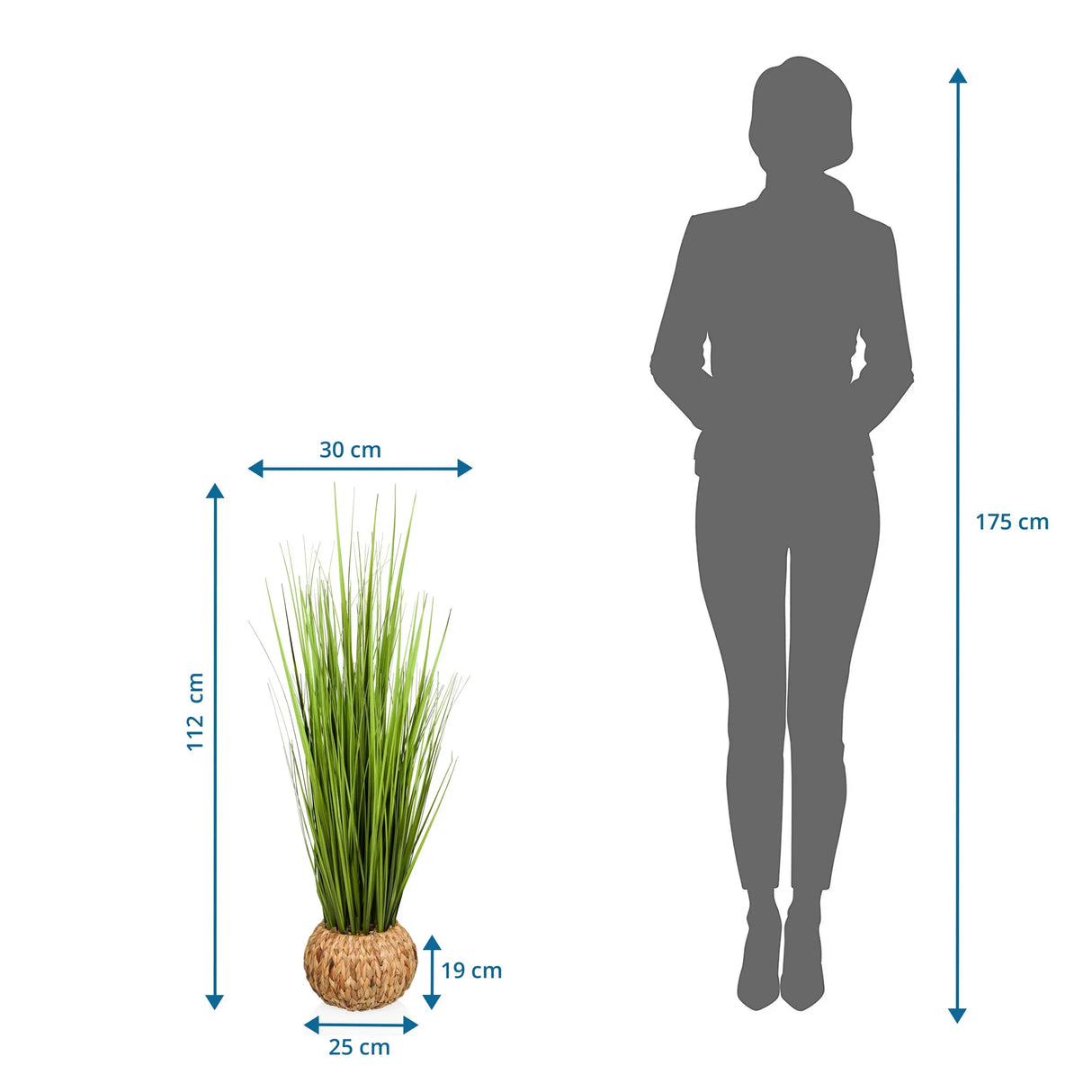 Maßzeichnung der Kunstpflanze CORTADERIA mit einer Höhe von 112 cm und Breite von 30 cm von hjh OFFICE