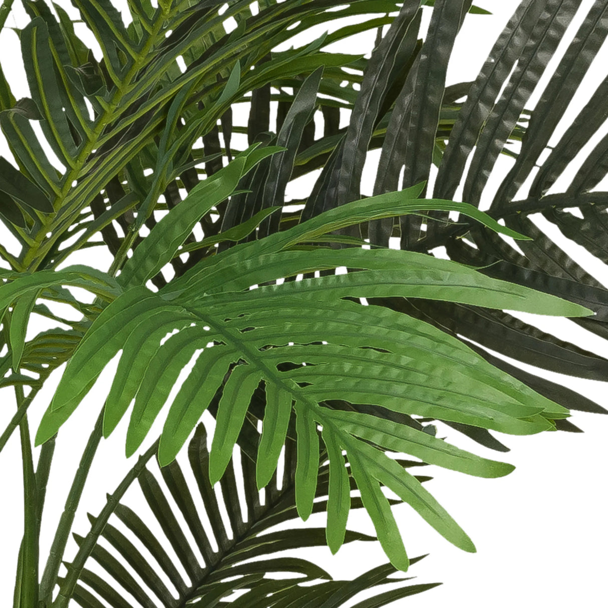 Grüne Blätter der Kunstpflanze ARECA II von hjh OFFICE