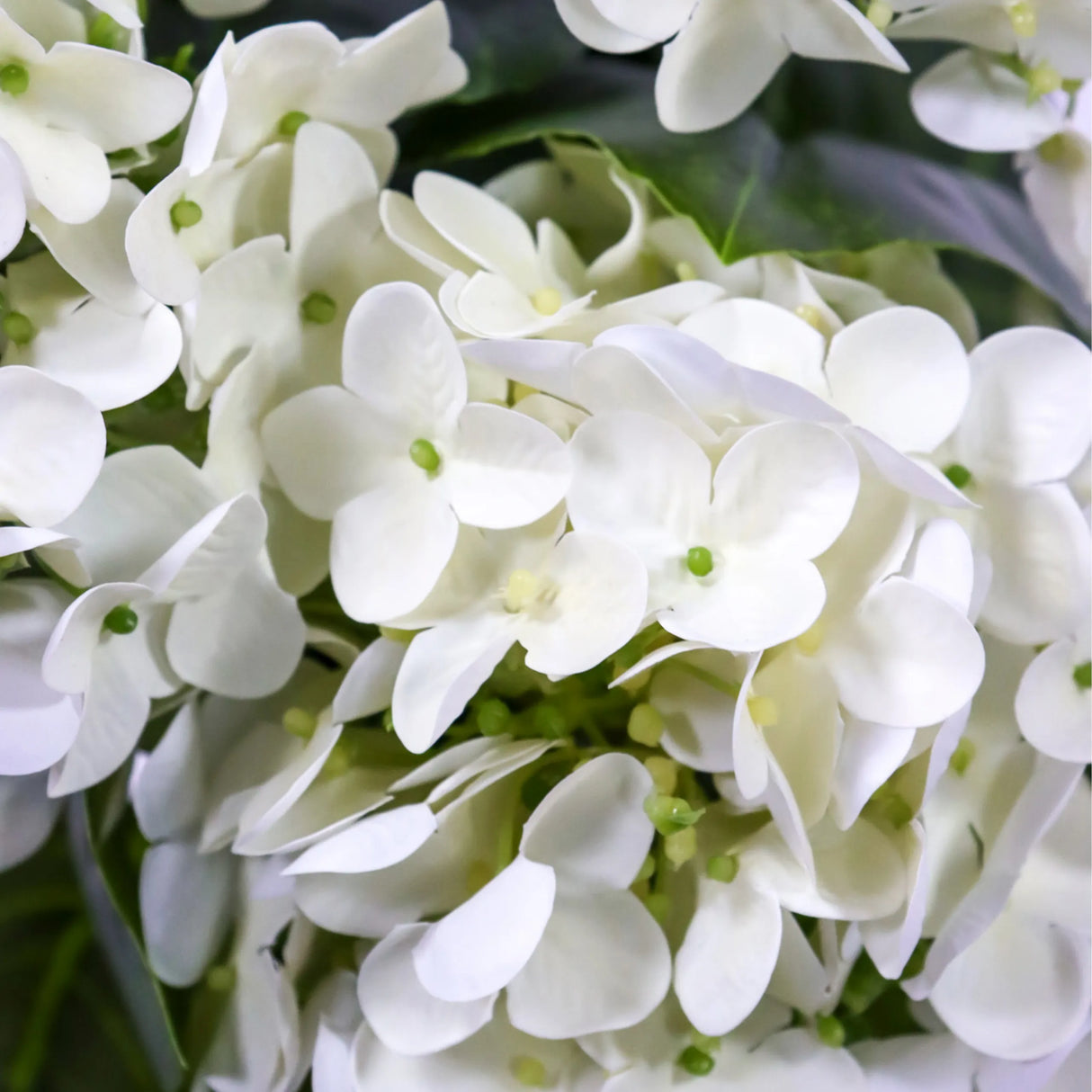 Weiße Blüten der Kunstpflanze HYDRANGEA mit grünen Akzenten von hjh OFFICE