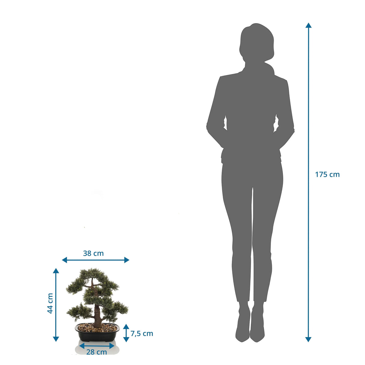 Maßansicht der Kunstpflanze BONSAI mit einer Höhe von 44 cm im Vergleich zu einer Person von hjh OFFICE
