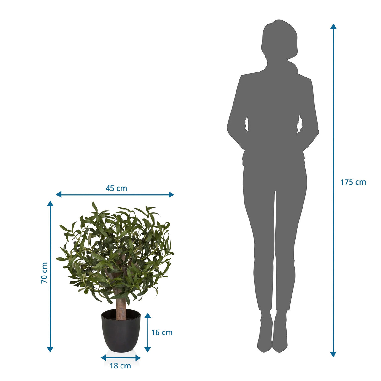 Maßansicht der Kunstpflanze Olive S mit einer Höhe von 70 cm und Breite von 45 cm von hjh OFFICE