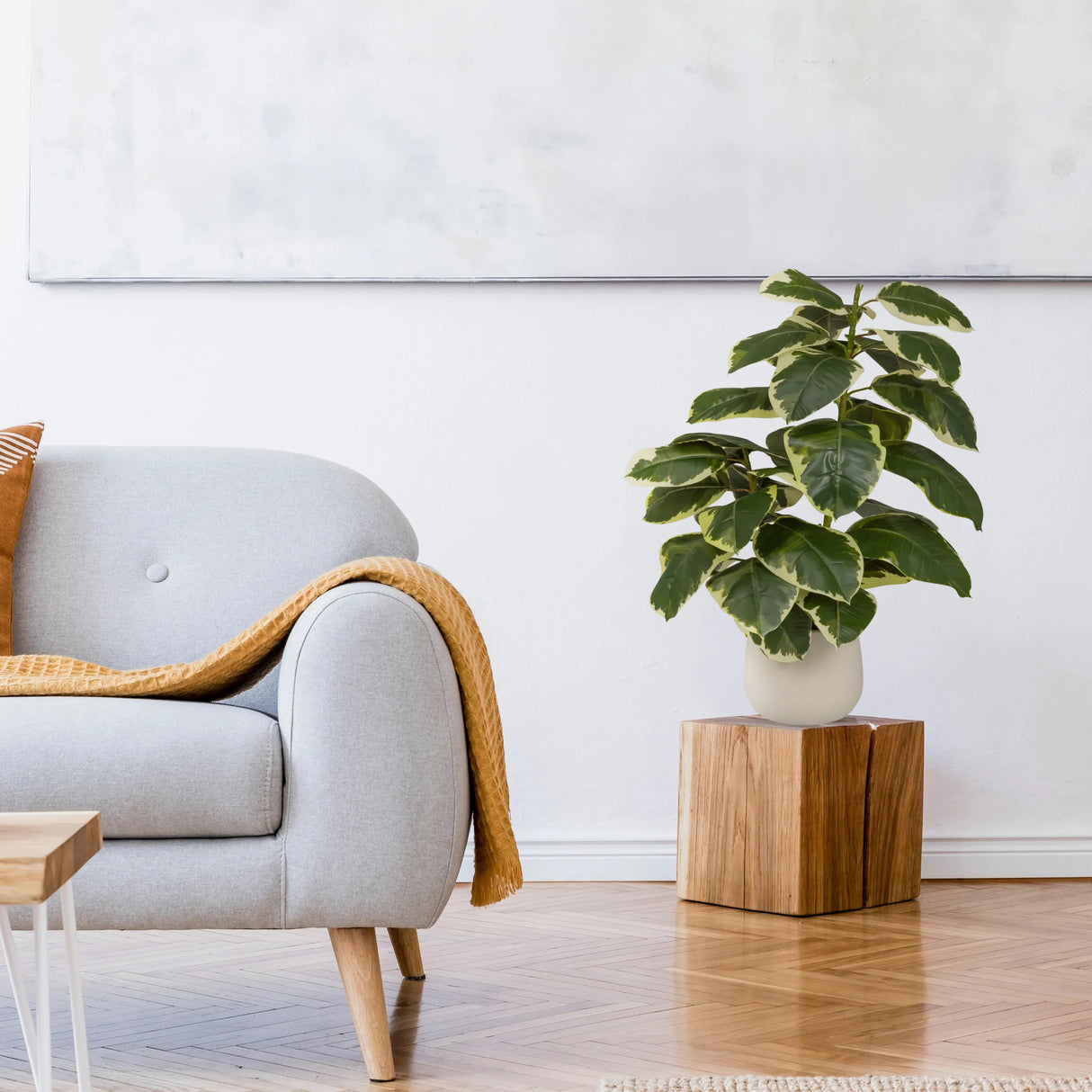 Kunstpflanze Ficus 3 in Grün und Weiß in einem weißen Topf auf einem Holzsockel von hjh OFFICE