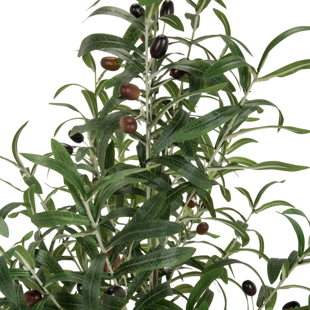 Blätter und dunkle Oliven der Kunstpflanze OLIVE von hjh OFFICE