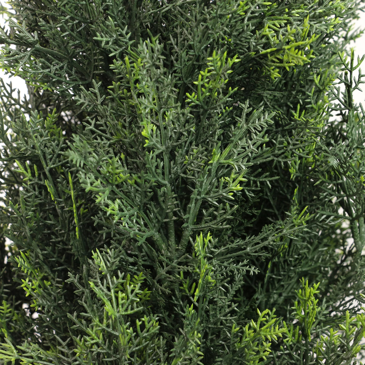 Grüne Nadelzweige der Kunstpflanze CEDRUS von hjh OFFICE