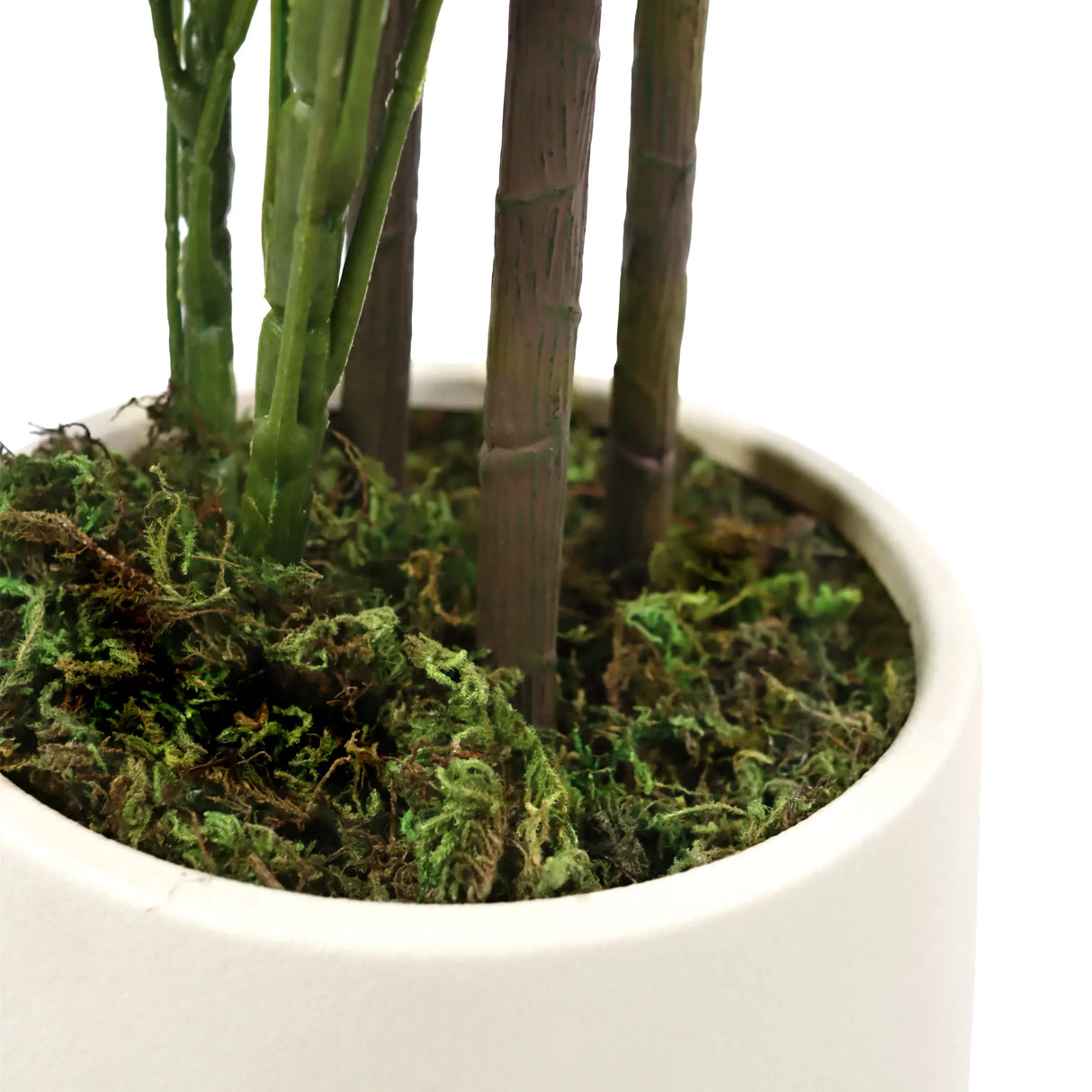 Stiele und Moosboden der Kunstpflanze Schefflera 2 in einem weißen Topf von hjh OFFICE