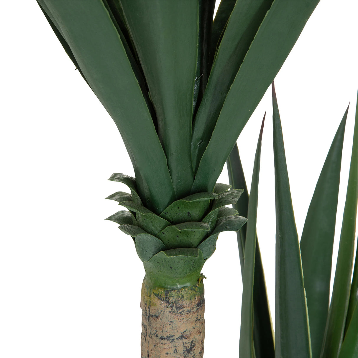 Stamm und Blattansatz der Kunstpflanze YUCCA in Grün von hjh OFFICE