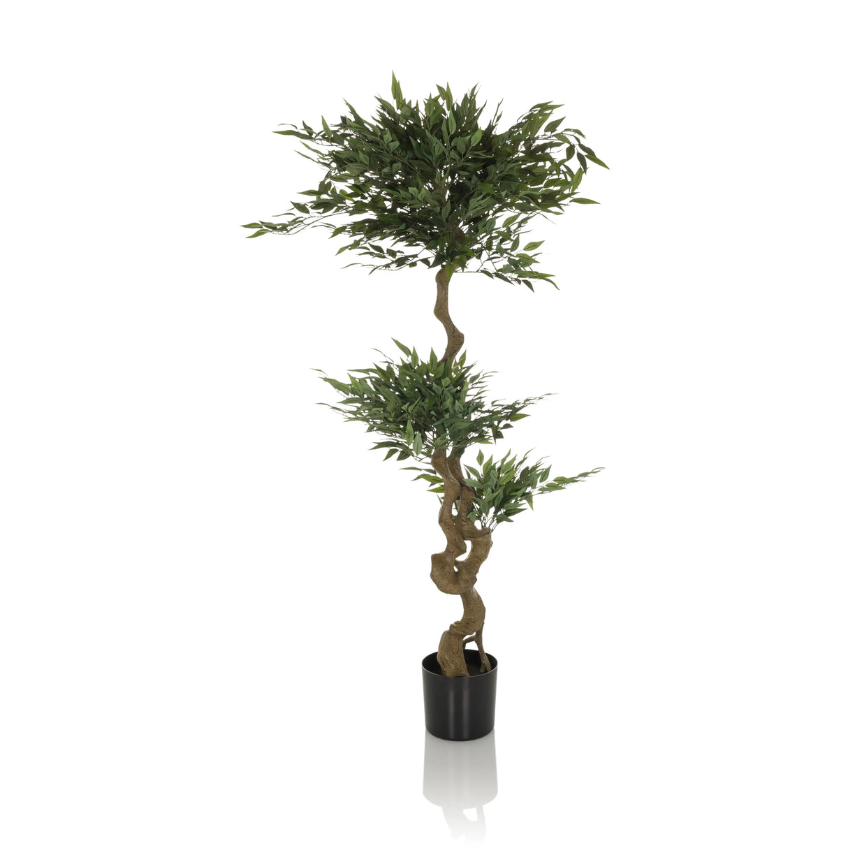 Grüne Kunstpflanze ACACIA mit gewundenem Stamm im schwarzen Topf von hjh OFFICE – 360-Grad-Ansicht (Frontansicht 0°)