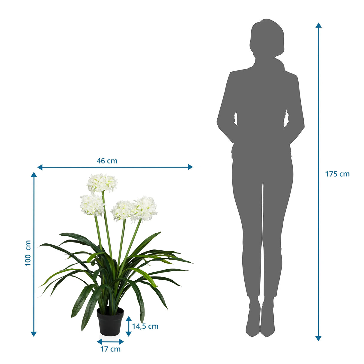 Maßzeichnung der Kunstpflanze AGAPANTHUS mit einer Höhe von 100 cm und Breite von 46 cm von hjh OFFICE