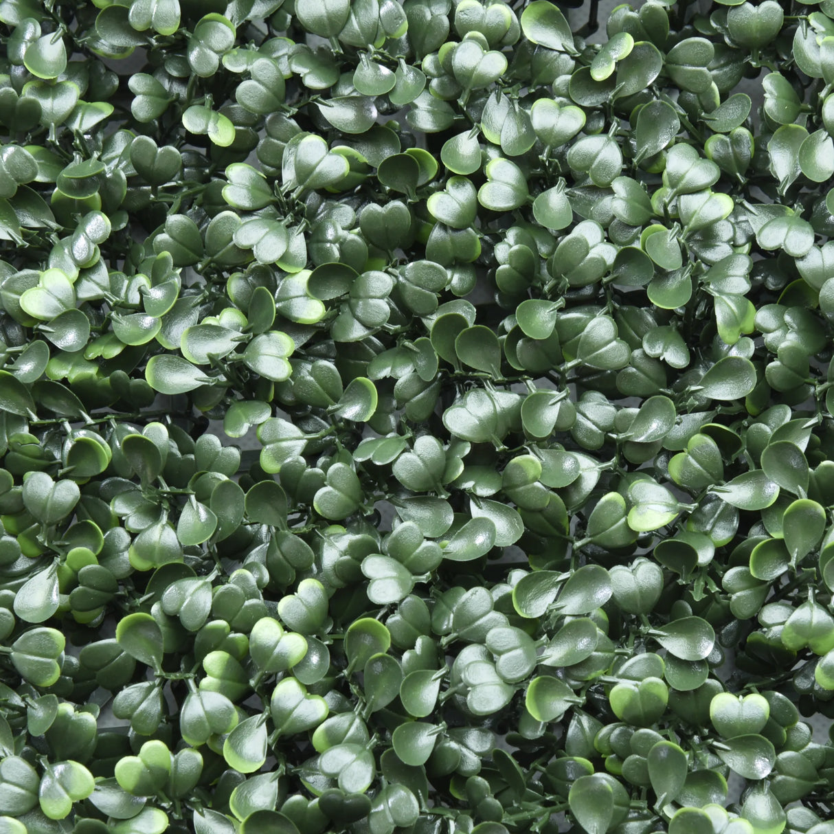 Grüne Blätter der Pflanzenmatte LEAFLUXE 1 von hjh LIVING