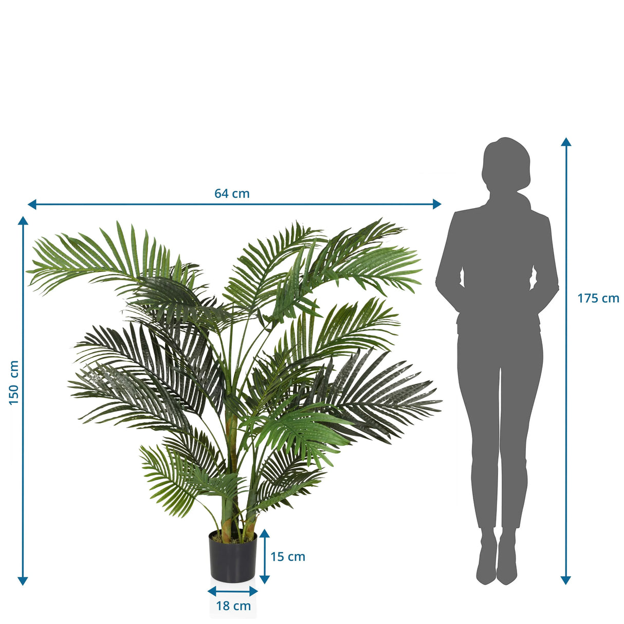 Maßzeichnung der Kunstpflanze ARECA II mit einer Höhe von 150 cm und Breite von 64 cm von hjh OFFICE