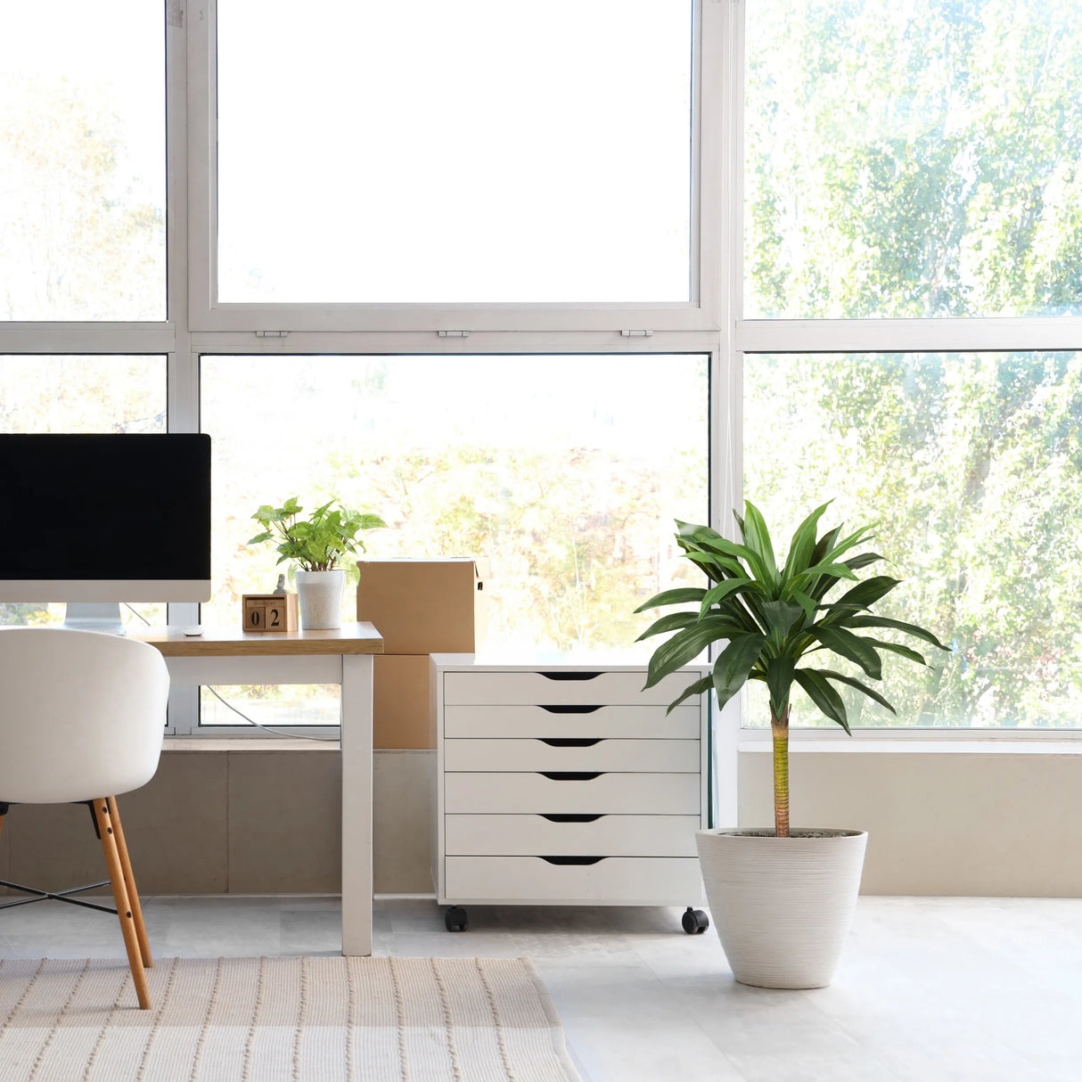 Kunstpflanze DRACAENA I in Grün mit einem weißen Übertopf in einem hellen Raum von hjh OFFICE