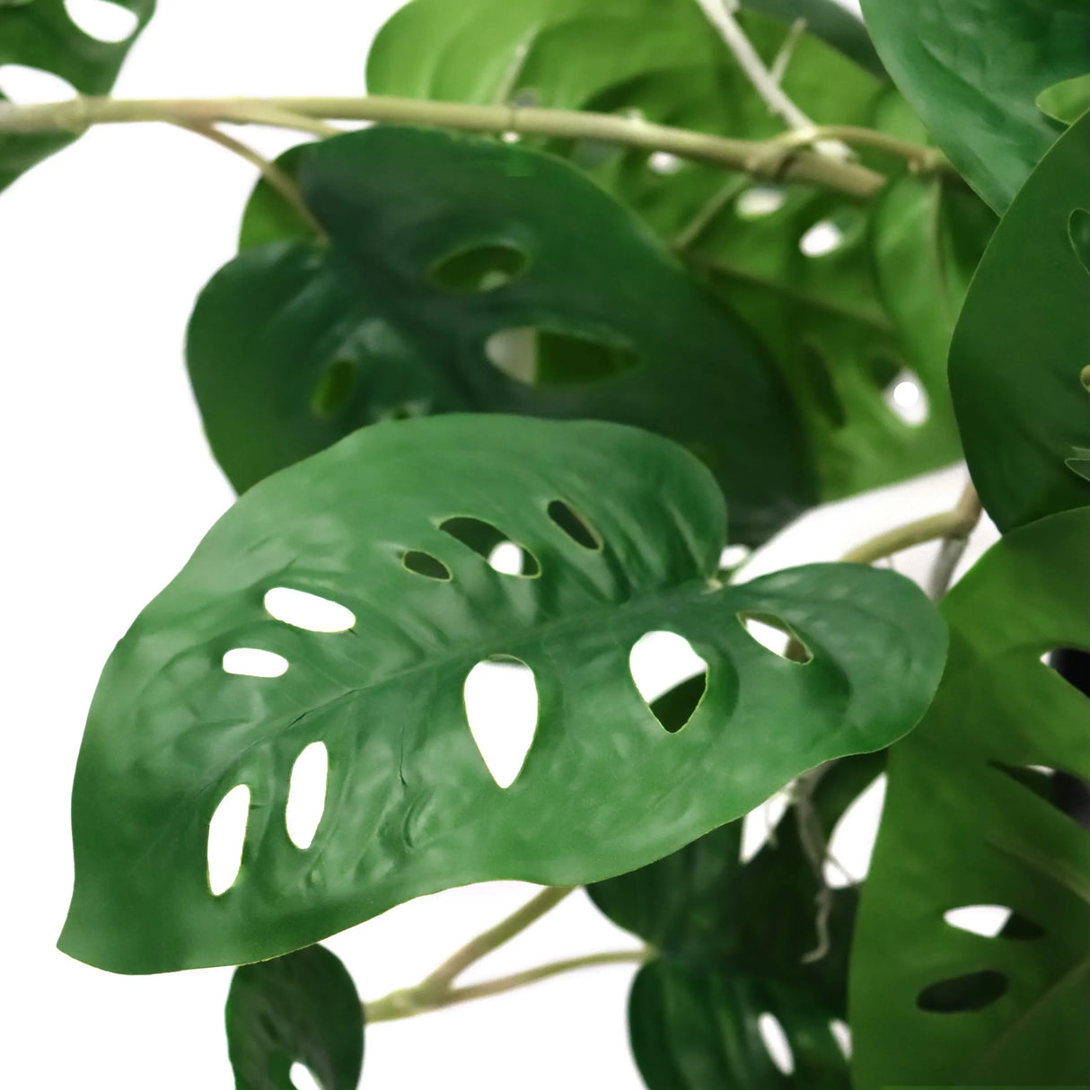 Grüne Blätter der Kunstpflanze MONSTERA CLIMB mit charakteristischen Löchern von hjh OFFICE