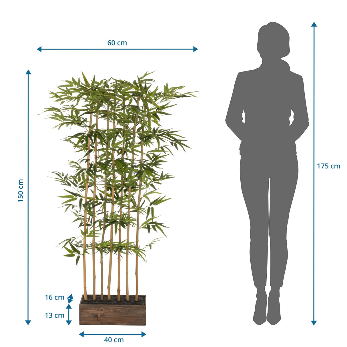 Maßansicht der Kunstpflanze BAMBUS I mit einer Höhe von 150 cm und einer Breite von 60 cm von hjh OFFICE