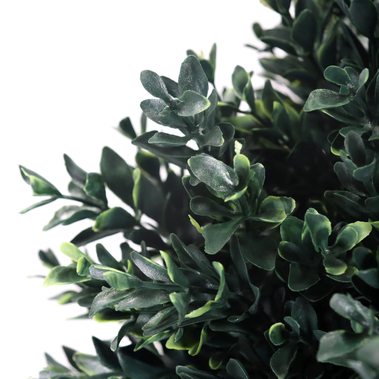 Grüne Blätter der Kunstpflanze BUXUS von hjh OFFICE
