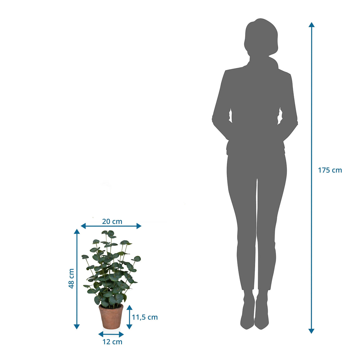 Maßzeichnung der Kunstpflanze Eucalyptus mit einer Höhe von 48 cm neben einer Personen-Silhouette von hjh OFFICE