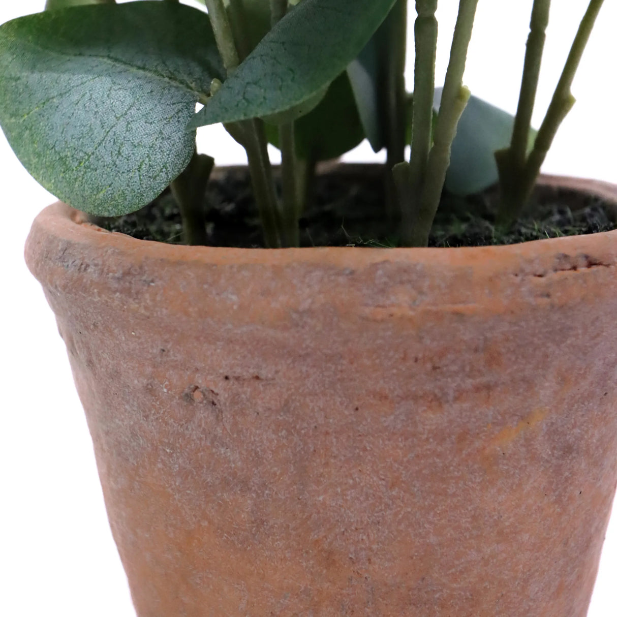 Terrakotta-Topf der Kunstpflanze Eucalyptus mit grünen Blättern von hjh OFFICE