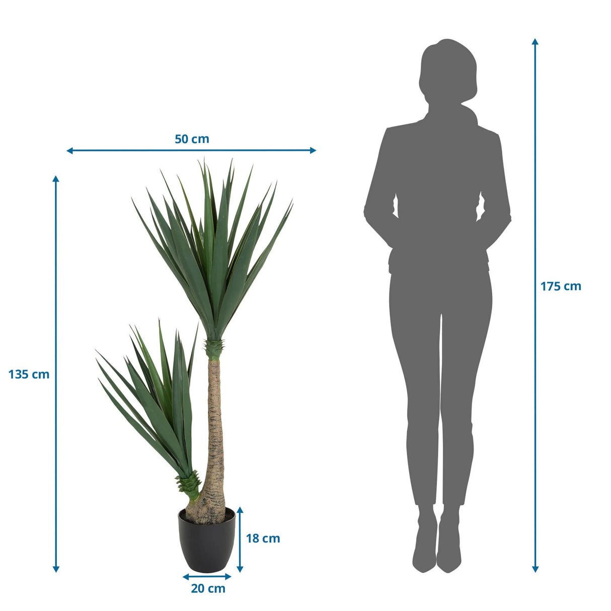 Maßzeichnung der Kunstpflanze YUCCA mit einer Höhe von 135 cm und Breite von 50 cm von hjh OFFICE