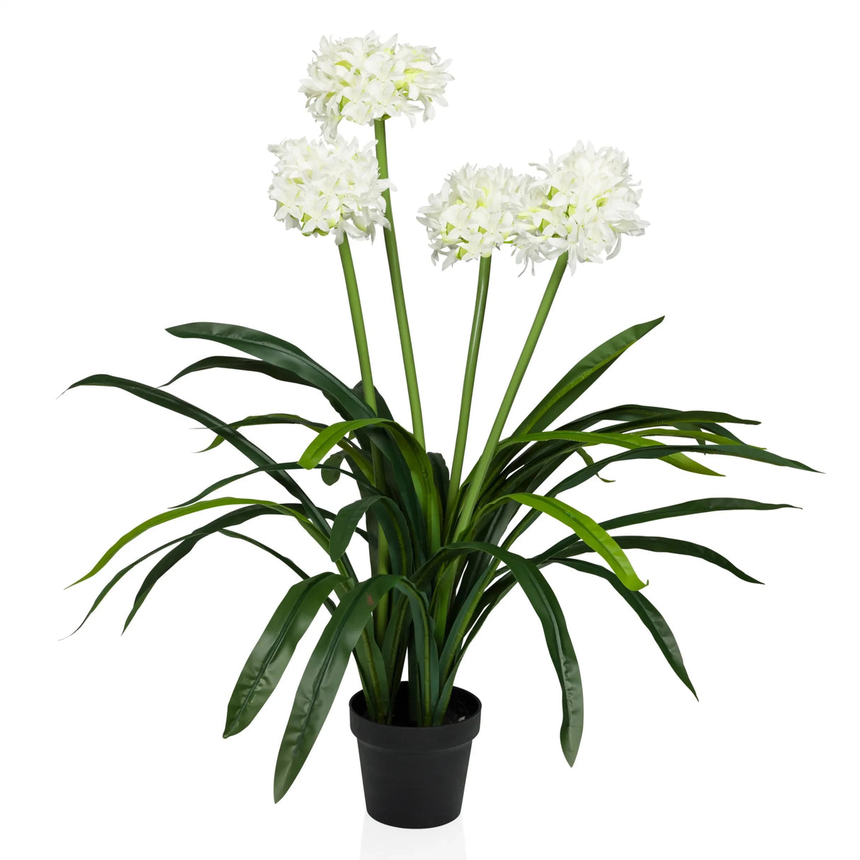 Kunstpflanze AGAPANTHUS mit weißen Blüten, grünen Blättern und schwarzem Topf von hjh OFFICE