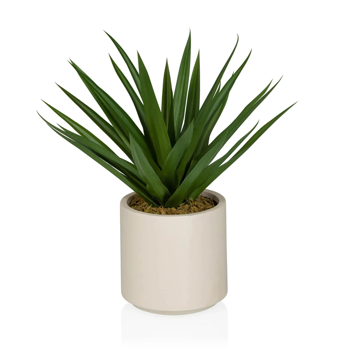 Kunstpflanze Agave mit grünen spitzen Blättern in einem beigefarbenen Topf von hjh OFFICE