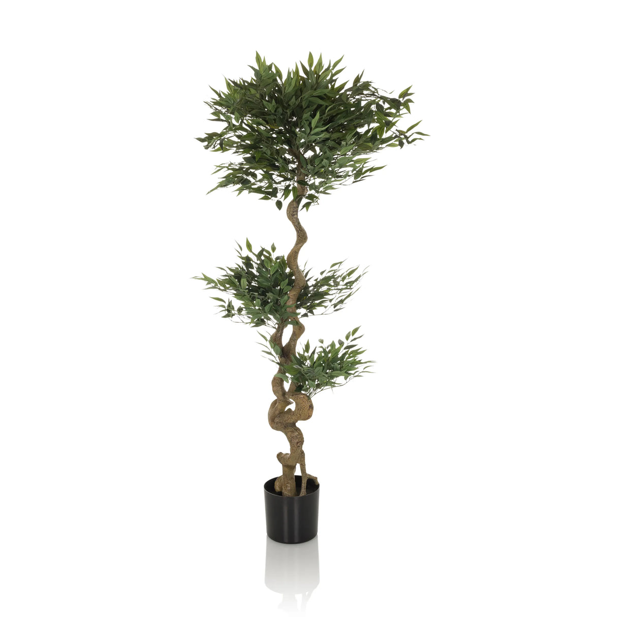 Grüne Kunstpflanze ACACIA mit gewundenem Stamm im schwarzen Topf von hjh OFFICE – 360-Grad-Ansicht (Seitenprofil 90°)