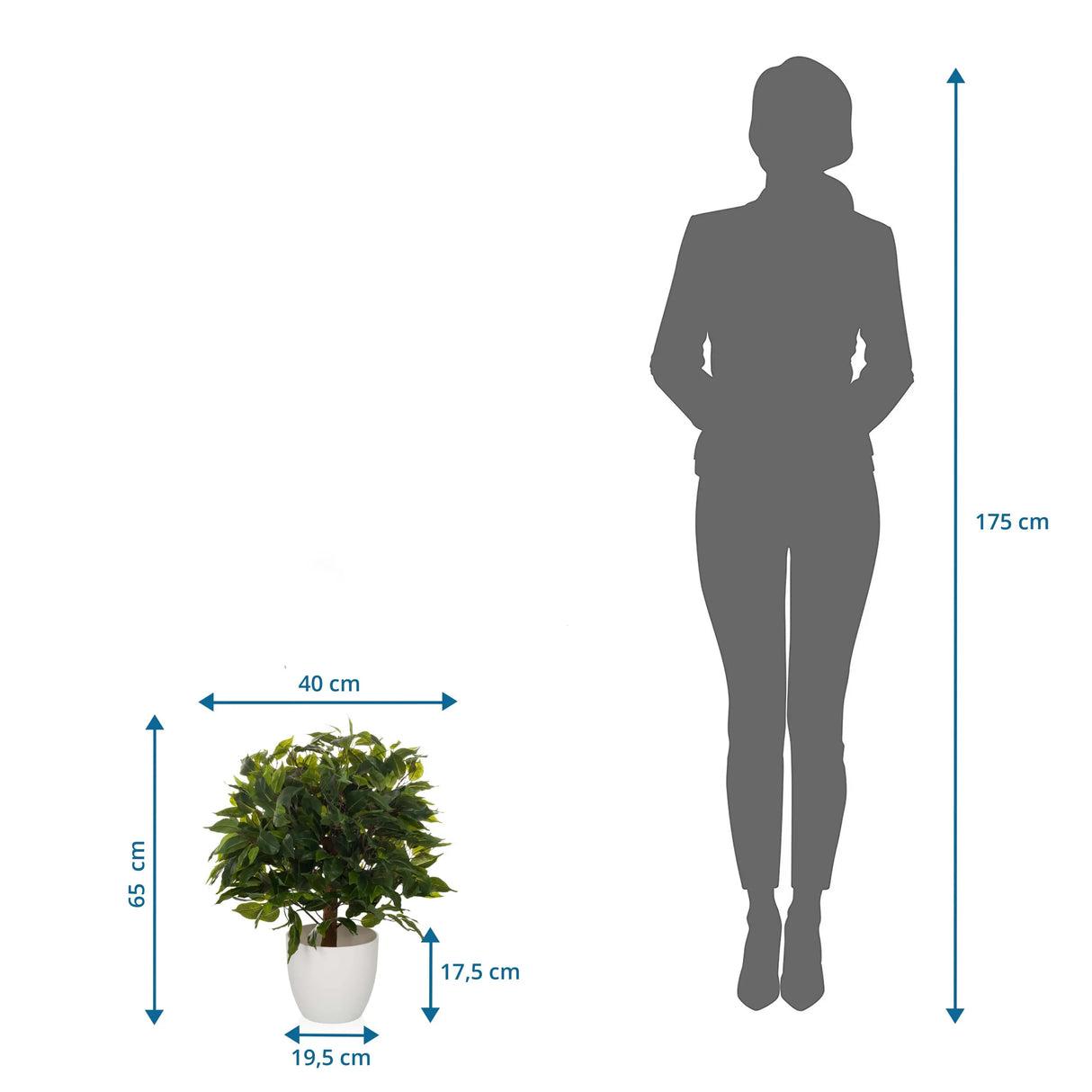 Maßzeichnung der Kunstpflanze FICUS II mit einer Höhe von 65 cm und Breite von 40 cm von hjh OFFICE