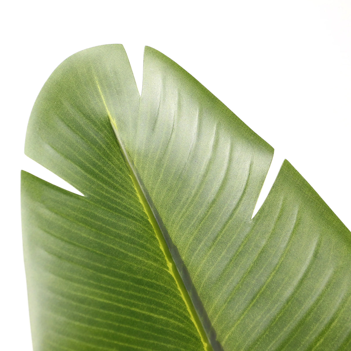 Grünes Blatt der Kunstpflanze BANANE von hjh OFFICE