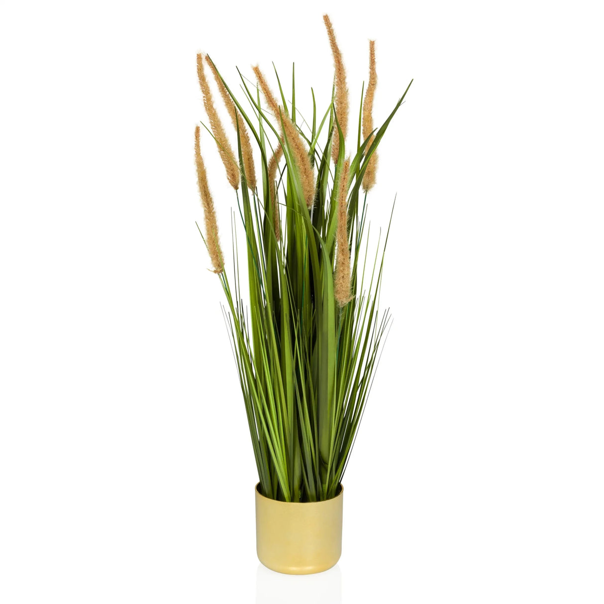 Kunstpflanze CORTADERIA I in Beige und Grün mit goldfarbenem Übertopf von hjh OFFICE