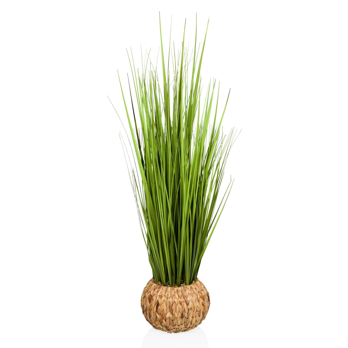 Kunstpflanze CORTADERIA in Grün mit geflochtenem Übertopf aus Naturmaterial von hjh OFFICE