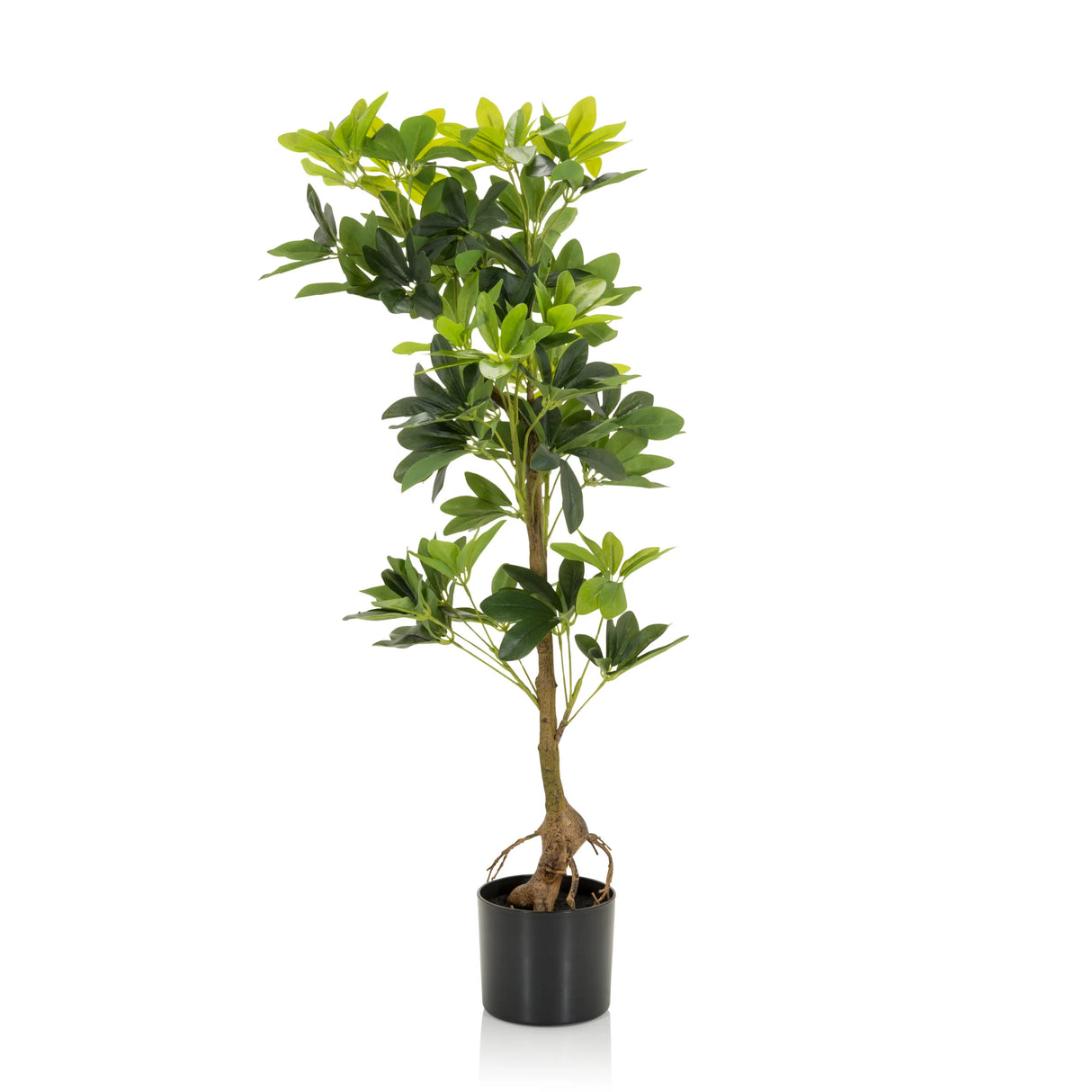 Grüne Kunstpflanze SCHEFFLERA mit verzweigten Ästen in einem schwarzen Topf von hjh OFFICE – 360-Grad-Ansicht (Frontansicht 0°)