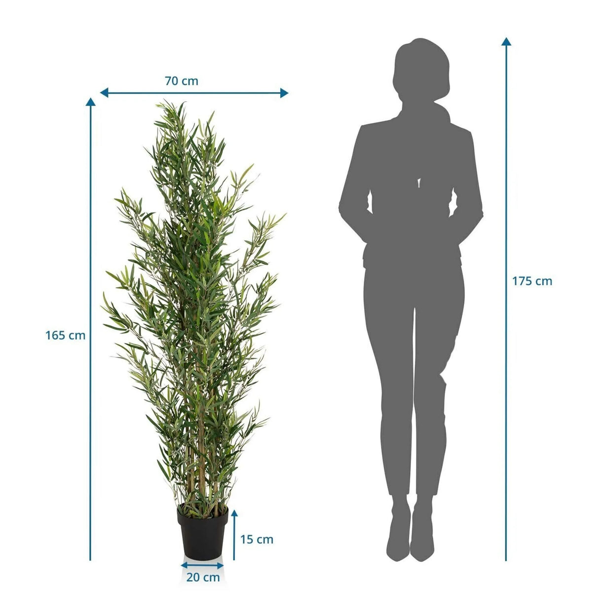 Maßzeichnung der Kunstpflanze BAMBUS mit einer Höhe von 165 cm und einer Breite von 70 cm von hjh OFFICE