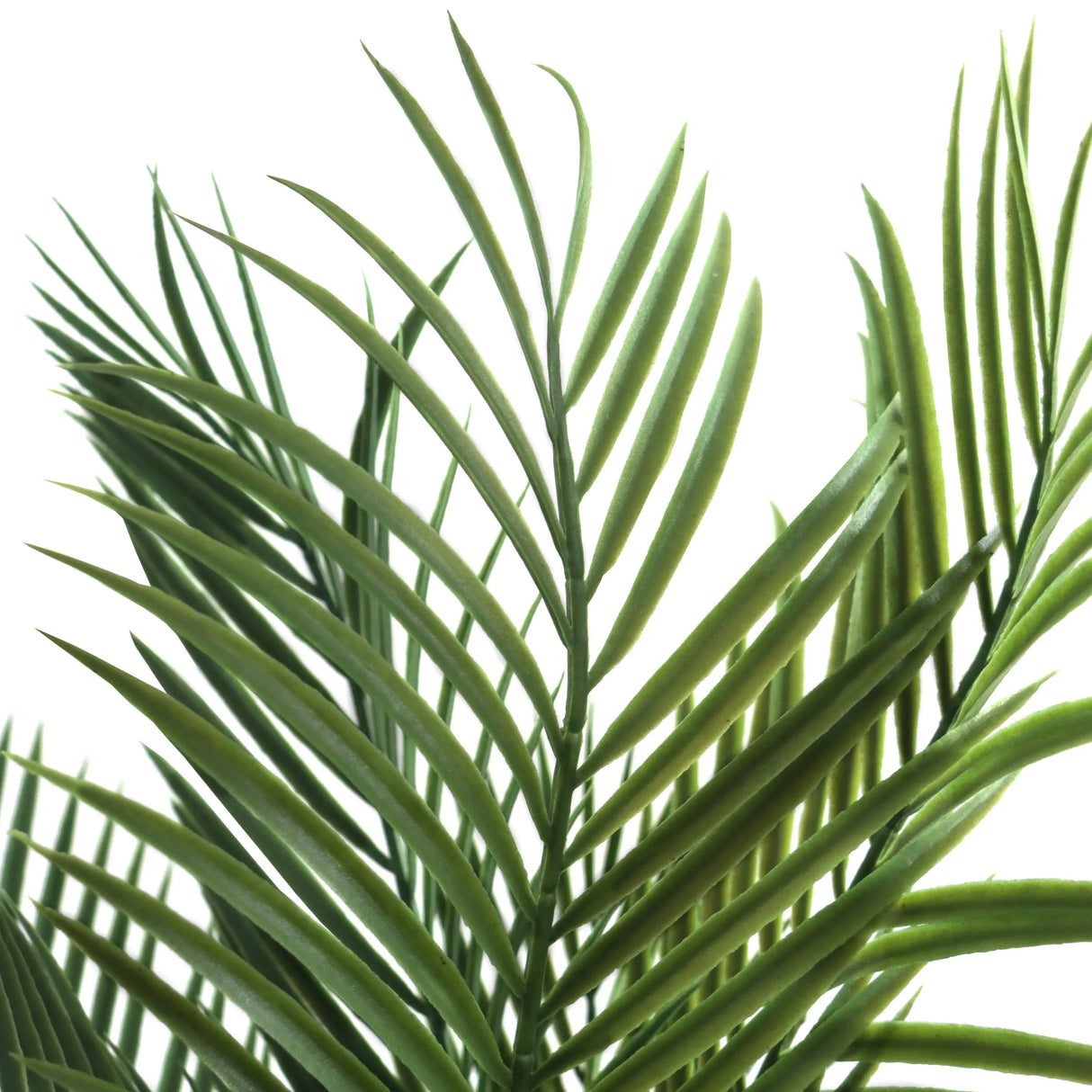 Grüne Blätter der Kunstpflanze DRACAENA von hjh OFFICE