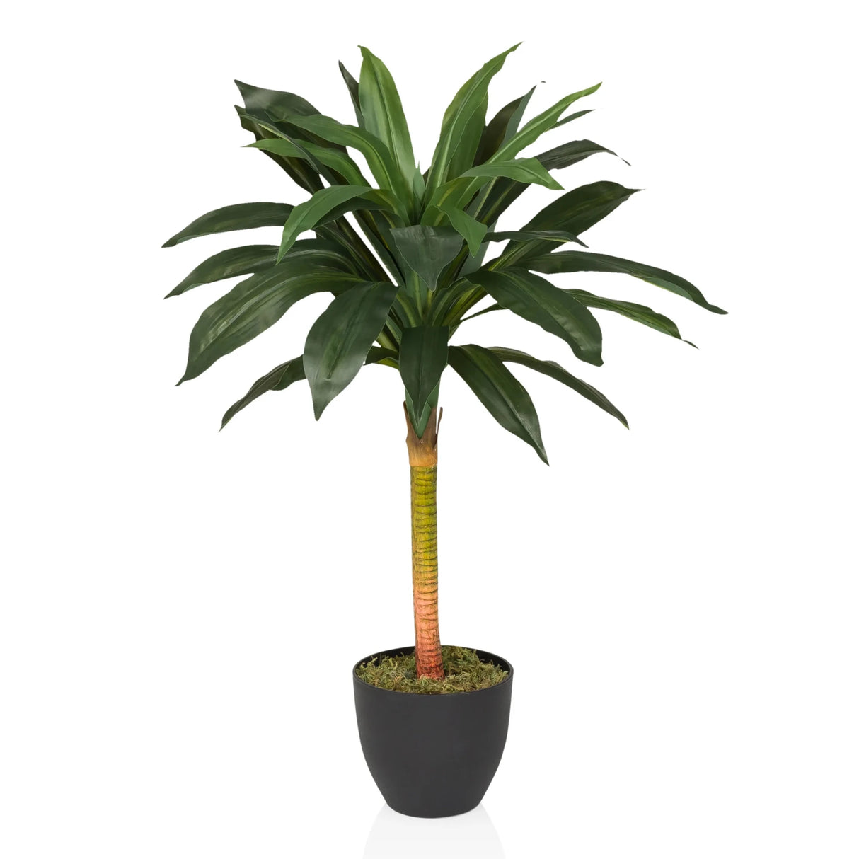 Kunstpflanze DRACAENA I mit grünen Blättern in einem schwarzen Pflanztopf von hjh OFFICE