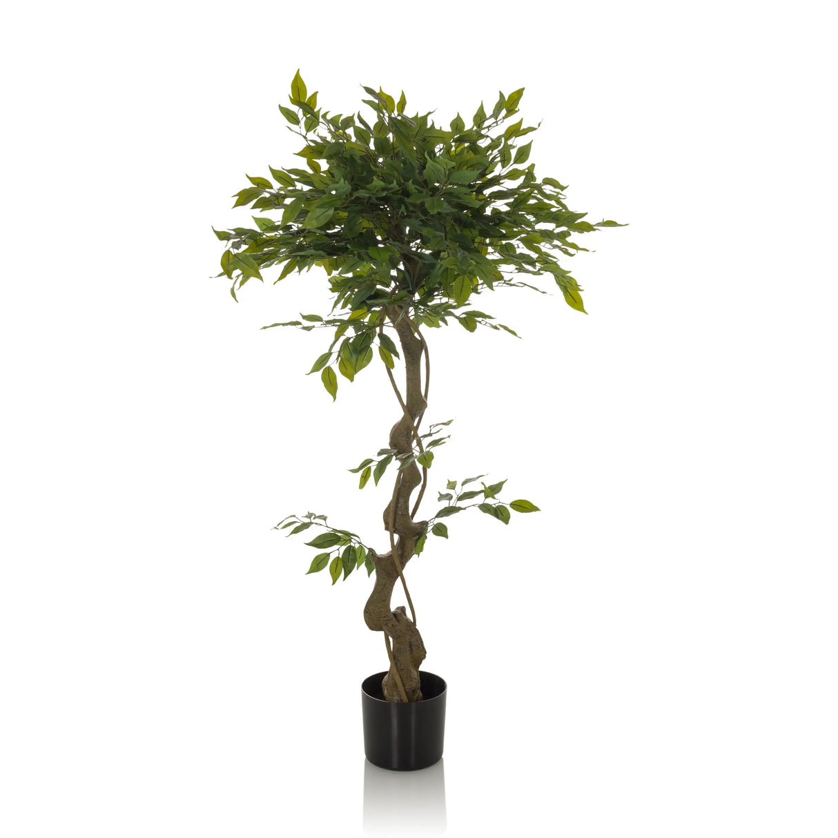 Grüne Kunstpflanze FICUS I mit geflochtenem Stamm in einem schwarzen Topf von hjh OFFICE – 360-Grad-Ansicht (Frontansicht 0°)