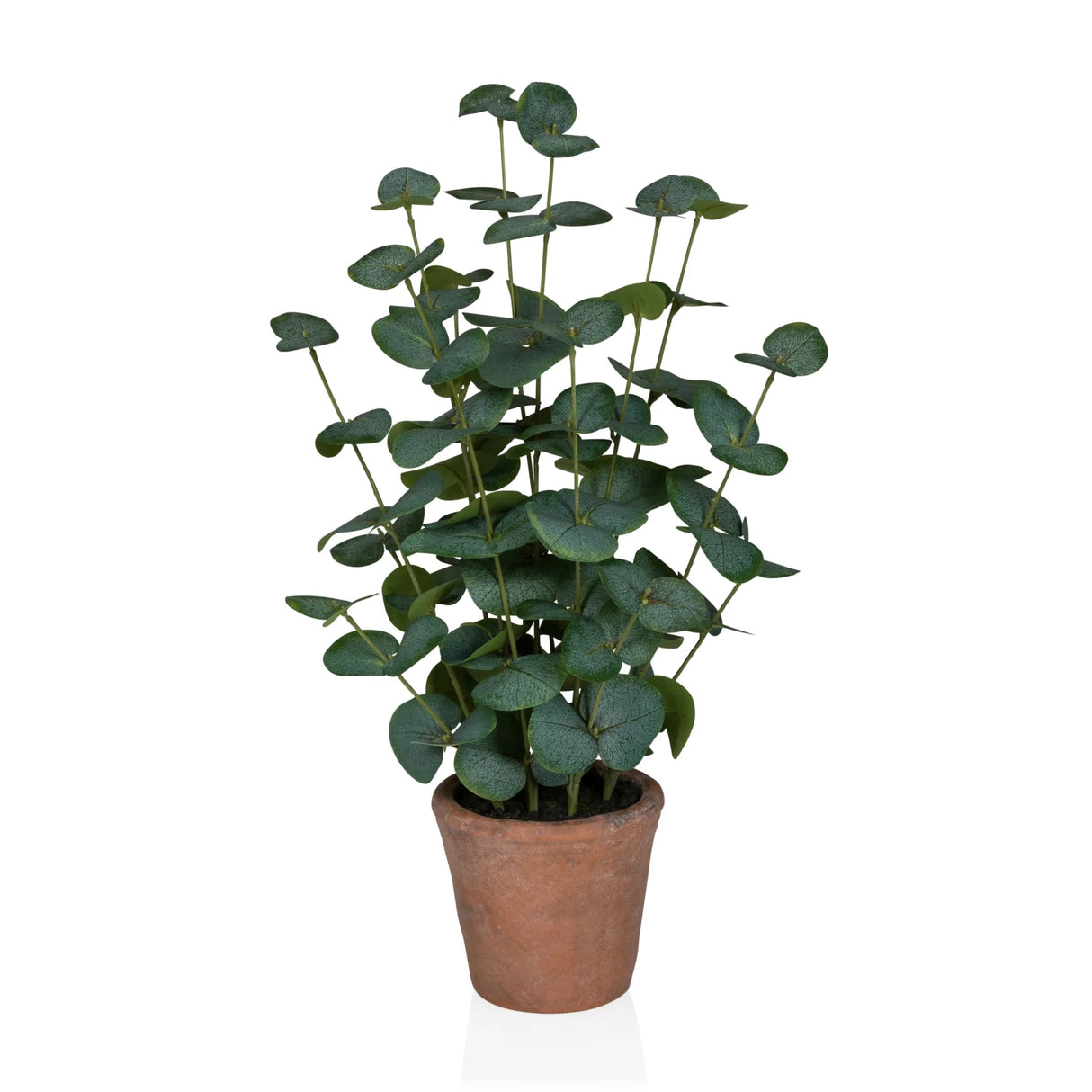 Kunstpflanze Eucalyptus in grüner Farbe mit runden Blättern in einem braunen Tontopf von hjh OFFICE