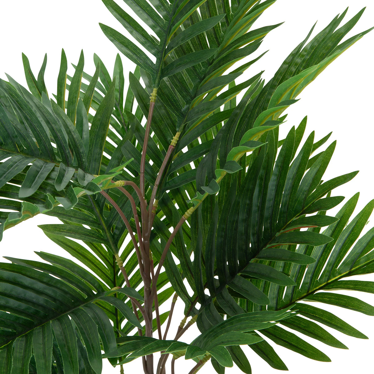 Grüne Wedel der Kunstpflanze ARECA von hjh OFFICE