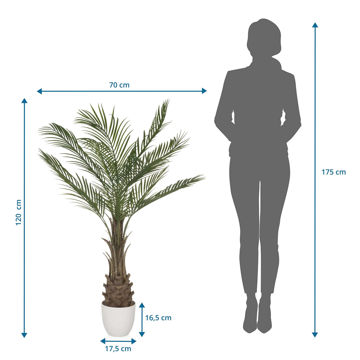 Maßzeichnung der Kunstpflanze DRACAENA mit einer Höhe von 120 cm und einer Breite von 70 cm von hjh OFFICE