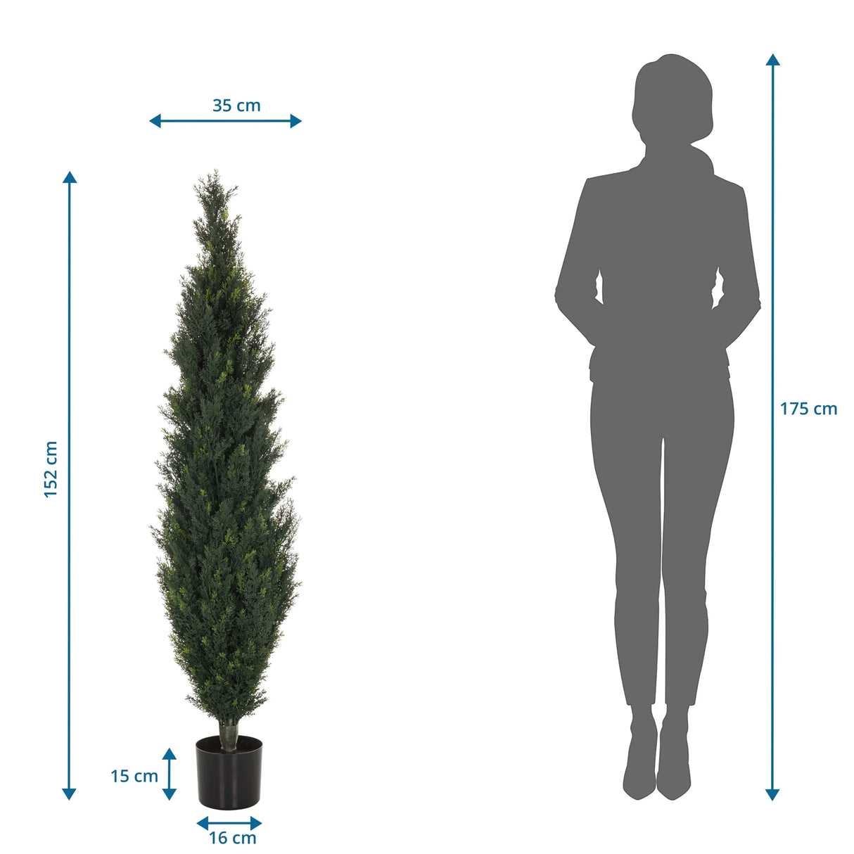 Maßzeichnung der Kunstpflanze CEDRUS mit einer Höhe von 152 cm von hjh OFFICE