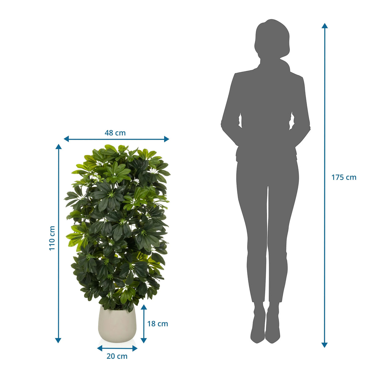 Maßzeichnung der Kunstpflanze Schefflera 2 mit einer Höhe von 110 cm und Breite von 48 cm von hjh OFFICE