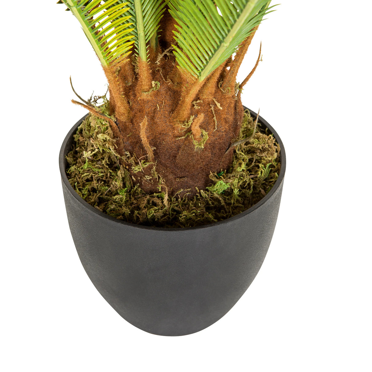 Stamm und schwarzer Übertopf der Kunstpflanze CYCAS von hjh OFFICE
