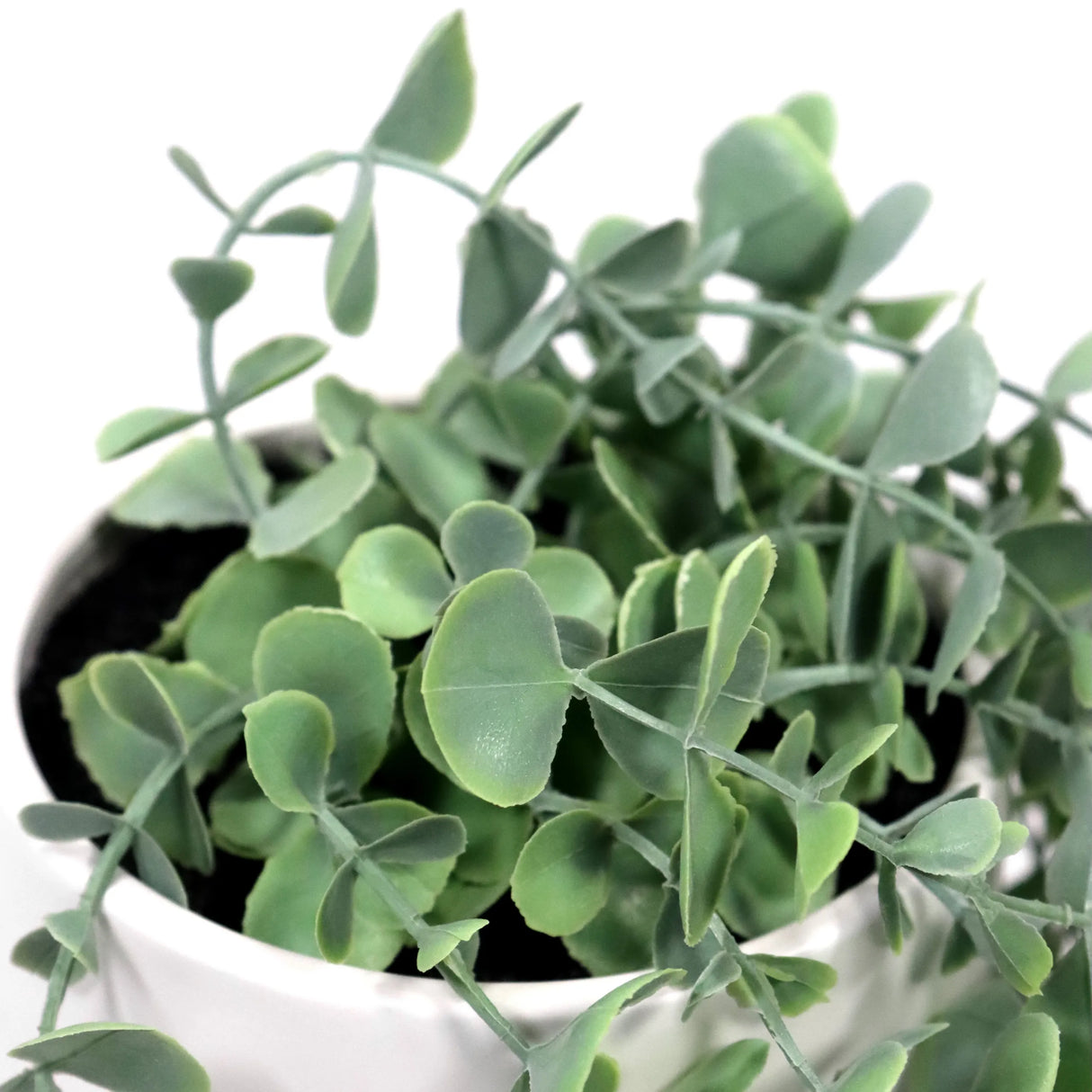 Grüne Blätter der Kunstpflanze EUCALYPTUS CLIMB in einem weißen Topf von hjh OFFICE