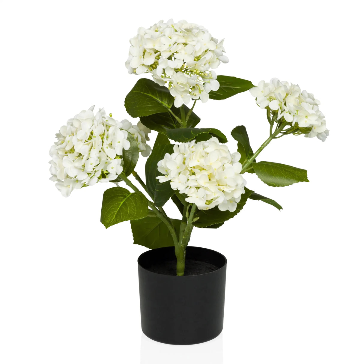 Kunstpflanze HYDRANGEA mit weißen Blüten, grünen Blättern und schwarzem Übertopf von hjh OFFICE