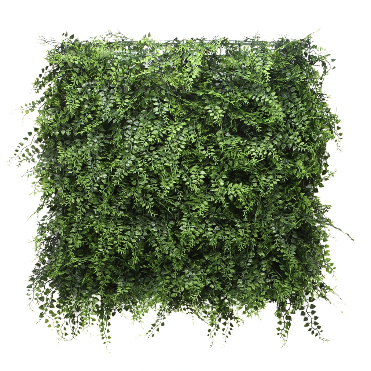 Grüne Pflanzenmatte LEAFLUXE 2 mit dichten, kleinen Blättern von hjh LIVING