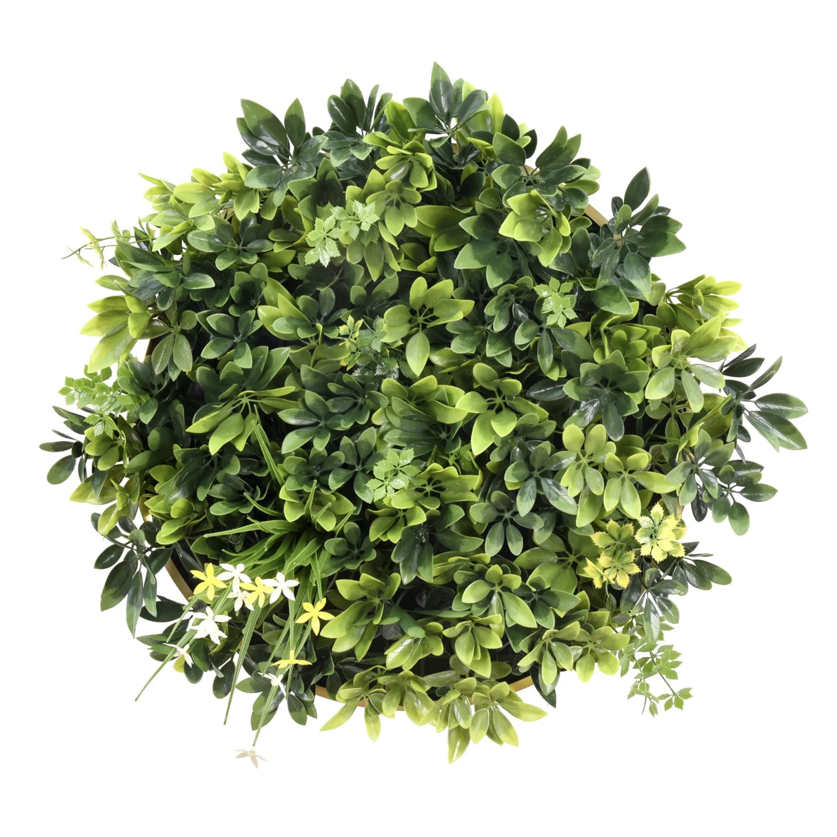 Grüne Pflanzenmatte LEAFLUXE WALL 2 mit dichtem Blattwerk und kleinen weißen Blüten von hjh LIVING