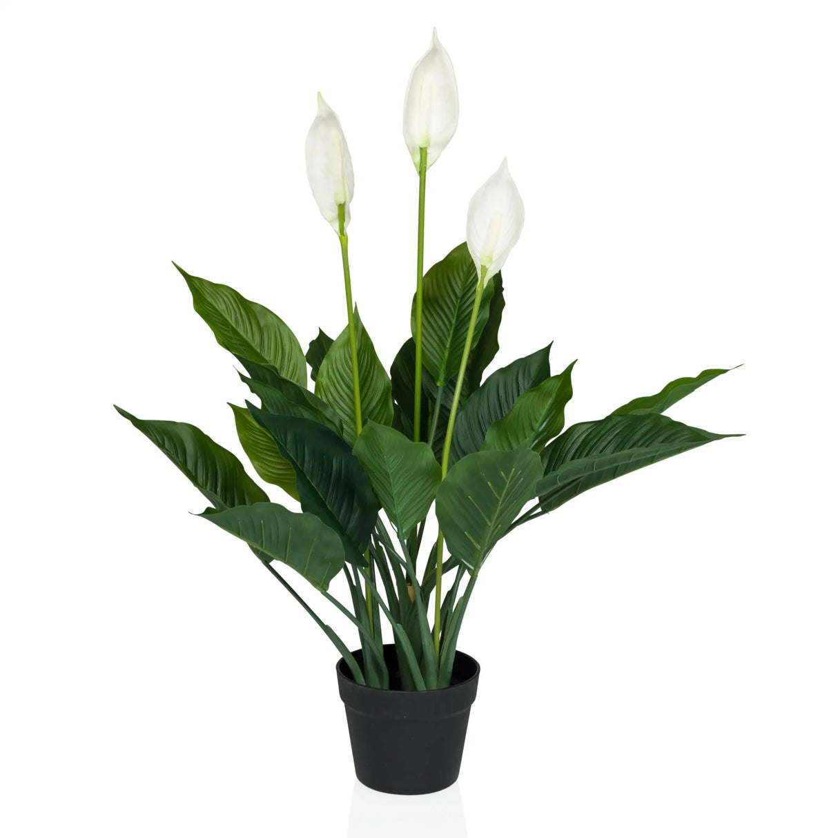 Kunstpflanze SPATHIPHYLLUM in Grün und Weiß mit drei Blüten in einem schwarzen Topf von hjh OFFICE
