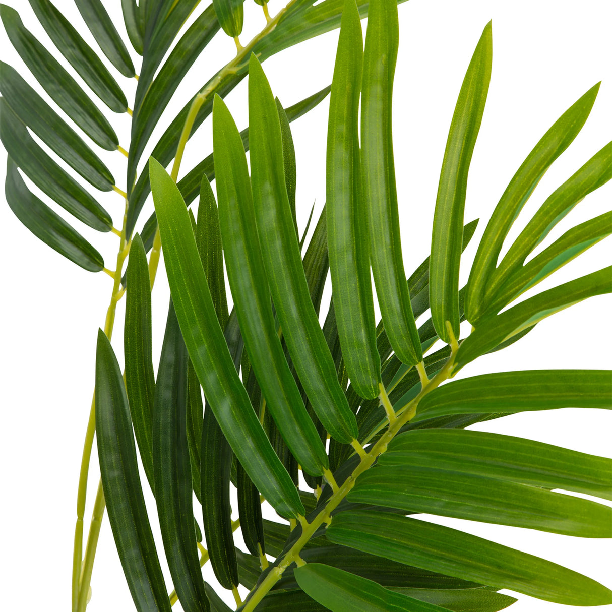 Grüne Blätter der Kunstpflanze ARECA I von hjh OFFICE