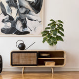 Kunstpflanze Ficus 3 in Grün-Weiß mit weißem Topf auf einem Sideboard von hjh OFFICE