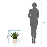 Maßzeichnung der Kunstpflanze Agave mit 45 cm Höhe und 40 cm Breite von hjh OFFICE