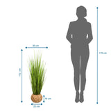 Maßzeichnung der Kunstpflanze CORTADERIA mit einer Höhe von 112 cm und Breite von 30 cm von hjh OFFICE